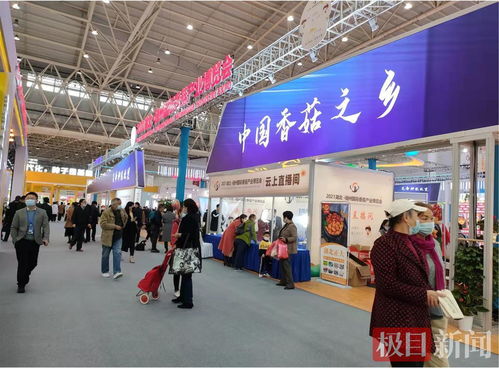 全球香菇薈江城 武漢國際香菇產(chǎn)業(yè)博覽會(huì)引領(lǐng)行業(yè)新浪潮